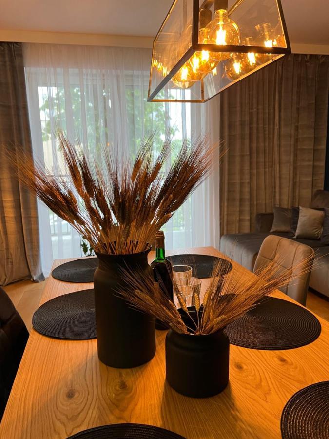 Family & Business Elegant Apartments, Kadzielnia, Wdk, Stadion Korona -1 Bedroom, Terrace, Garage, New! Kielce Exterior foto